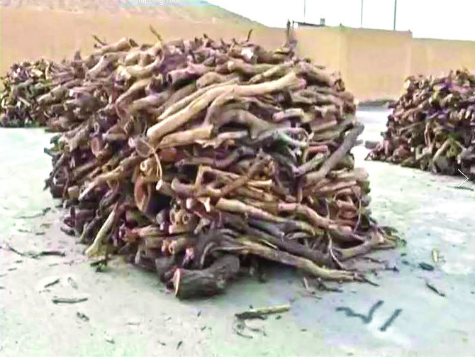 100 tons of firewood seized