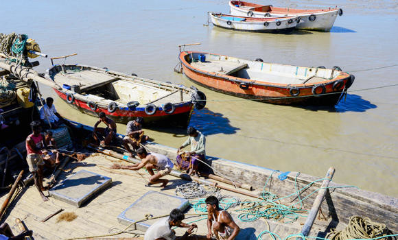 Bangladesh bans ships in dolphin sanctuaries