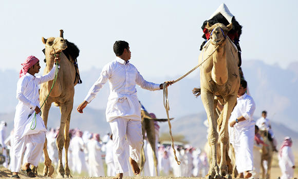 Saudi man contracts MERS from camel