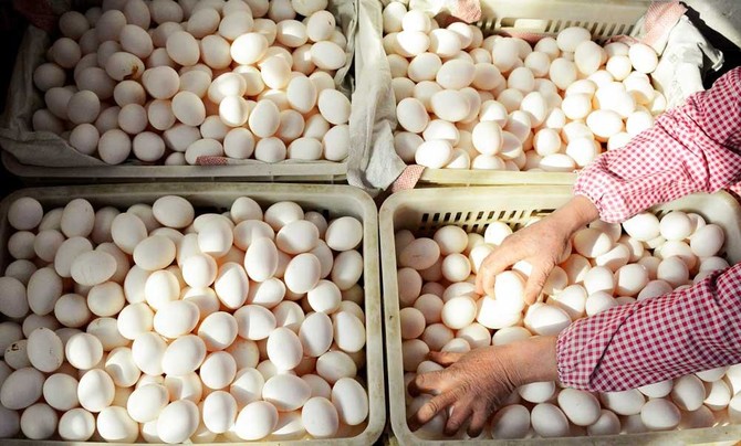 China egg producers brace for pain from bird flu crackdown