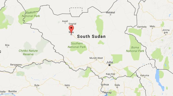 Plane crash-lands in S.Sudan with 45 onboard: officials