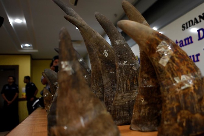 Malaysia seizes 18 rhino horns smuggled from Mozambique