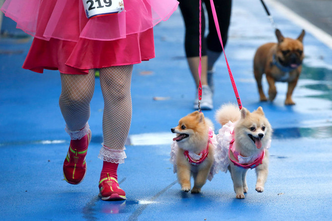 Walkies! Big dogs and small join Bangkok fun run