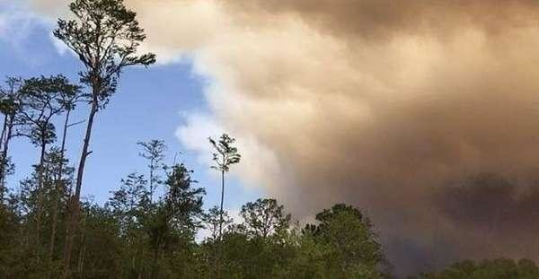 Wildfire spreads in southern Georgia, forces evacuations | Arab News