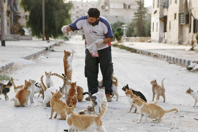 Aleppo’s ‘cat man’ a ‘pawsitive’ force in war-torn Syria