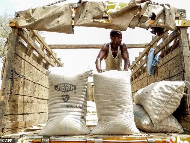 Boko Haram food crisis: farmers call to return home