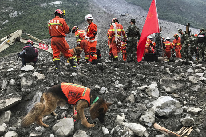 Dog in forlorn search for owner after China landslide: state media