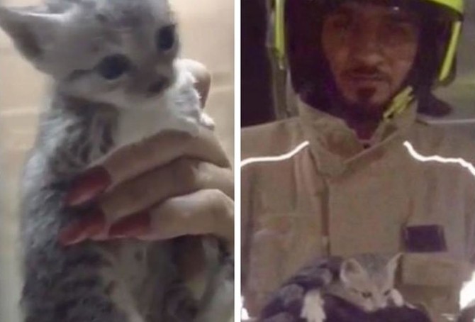 Heartwarming video shows moment Dubai Civil Defense rescues trapped kitten