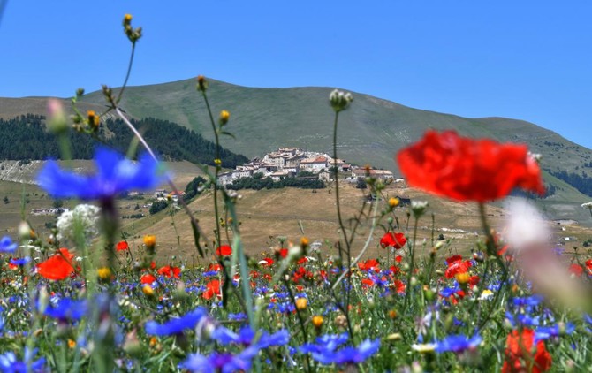 Flowers shrivel in Italian beauty spot as drought follows quakes