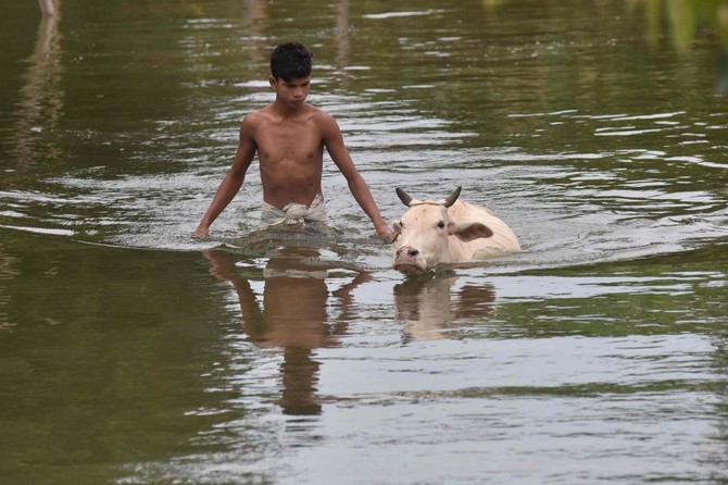 Heavy monsoon rains lash western India, killing 16