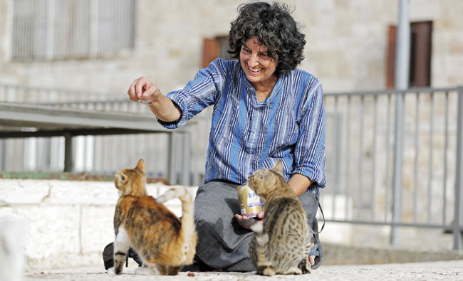 At midnight, Jerusalem Old City’s ‘cat lady’ prowls