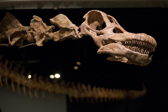 Meet the new heavyweight champion of dinosaurs: Patagotitan