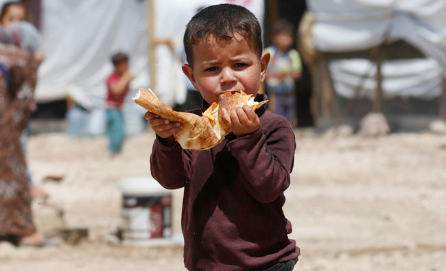 Syrian schools transform playgrounds in gardens to boost diets of hungry children