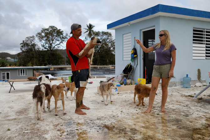 Couple defy Hurricane Maria on roof to save pets — lots of them