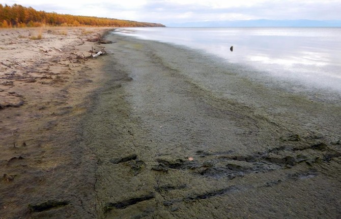 World’s deepest lake in peril, scientists warn