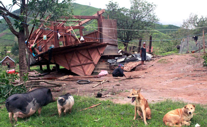 27 dead as Typhoon Damrey batters Vietnam