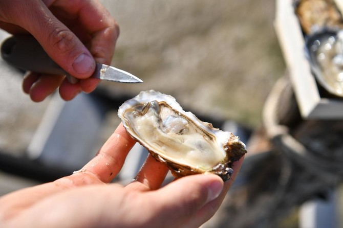 Frenchman invents lemony oysters in time for holidays