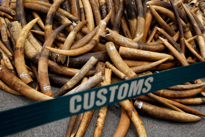 China ban on ivory sales begins Sunday, aims to curb elephant poaching