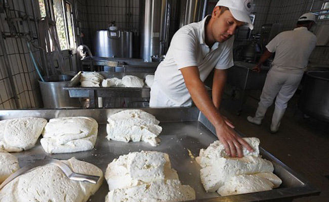 Cheesed off: Italian regions highly strung over mozzarella