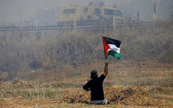 Israeli military to probe death of disabled Palestinian in Gaza