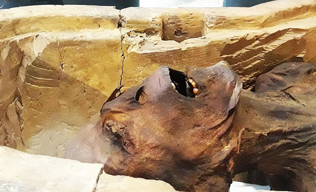 ’Screaming Mummy’ displayed in Egypt museum