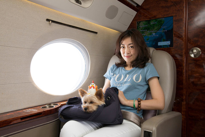 Pampered pooches take to the sky in travel niche