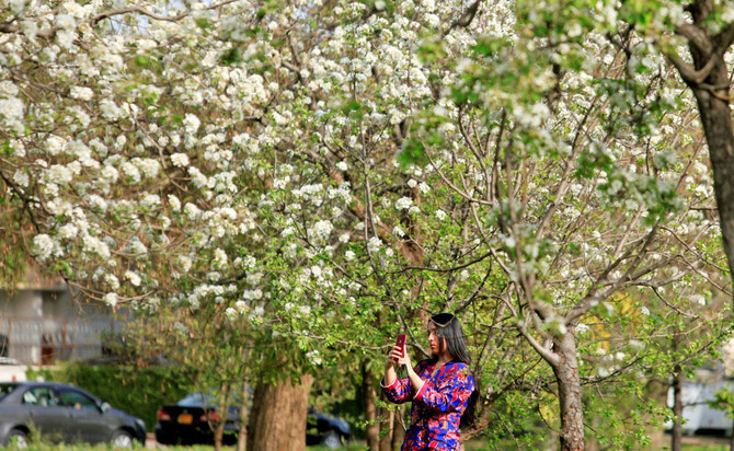 As Islamabad’s trees disappear, its children lead a green offensive