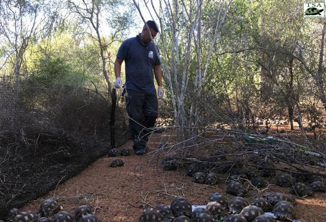 Over 10,000 Endangered Tortoises Rescued In Madagascar | Arab News