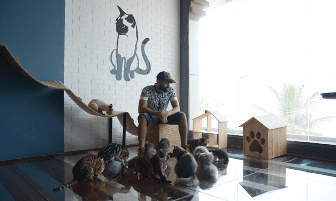 Coffee And Cats The Purr Fect Combination At Jeddah Cafe Arab News