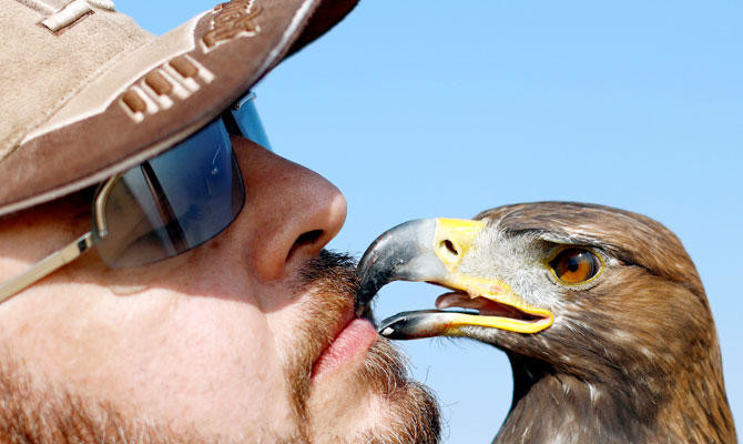 Saudi Falconry Festival Launches Photo Competition Arab News