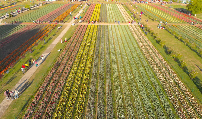 Kashmir S Tulip Garden Loses Its Bloom As Virus Curbs Bite Arab News