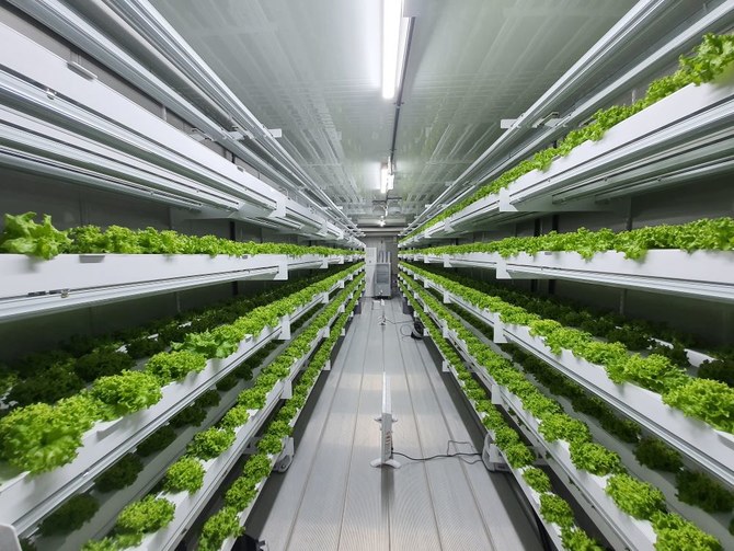 UAE agricultural firm uses technology to help with food security | Arab ...