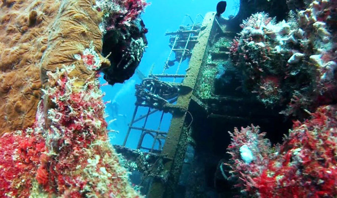 ThePlace: Red Sea’s magical waters near Jeddah a magnet for divers ...