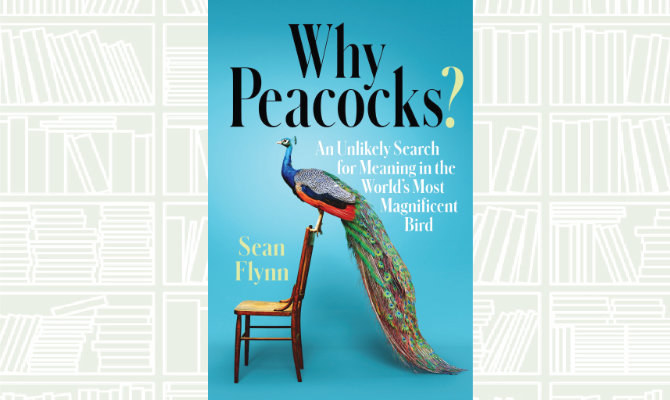 Why Peacocks?, Book by Sean Flynn