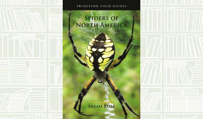 Spiders of North America