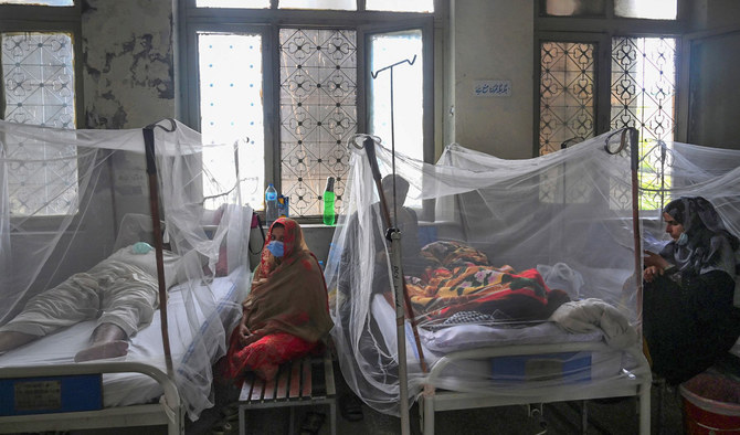 Addressing the Dengue Crisis in Southeast Asia: Insights from Prof