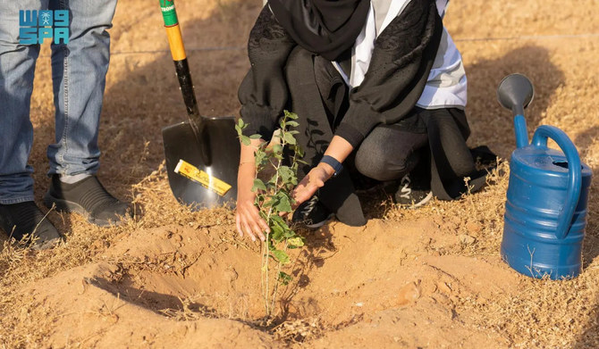 New Program Helps Saudi Arabia’s Aim To Reach Green Goals | Arab News