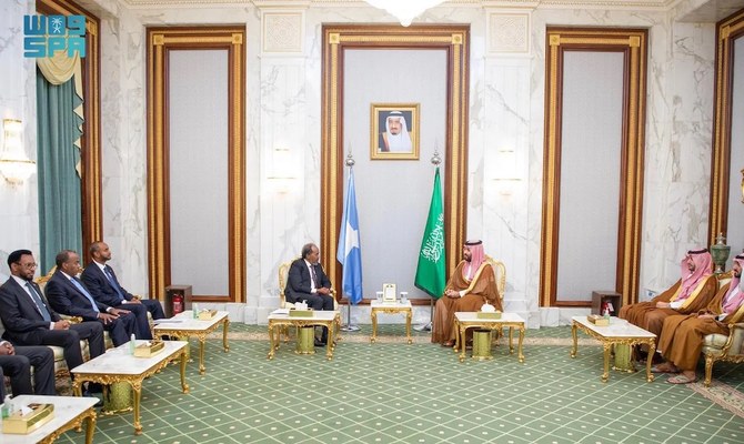 Saudi Arabia, Somalia welcome UN decision to lift arms embargo on ...