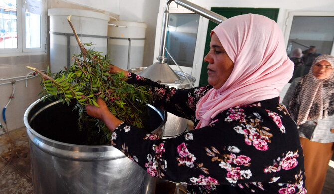 A woman extracts oils from plants at the 