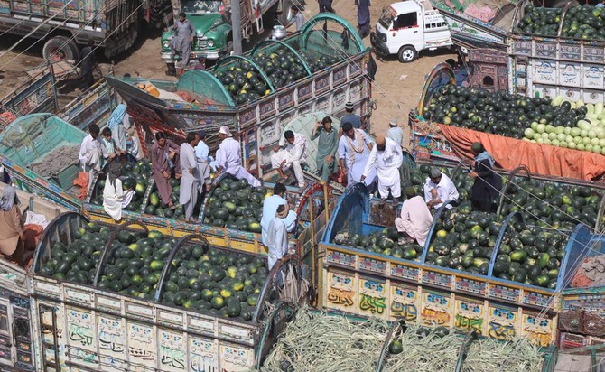 Bumper watermelon harvest pushes prices down in Pakistan