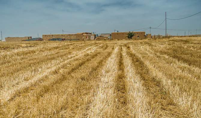 Iraq harvests go up in smoke, but who lit the fires?