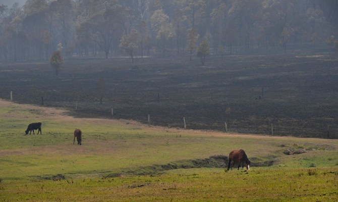 Bushfire threat still high as Australia clean up begins