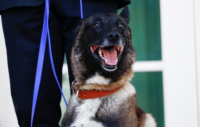 Trump presents Conan, the ‘incredible’ dog injured in Baghdadi raid