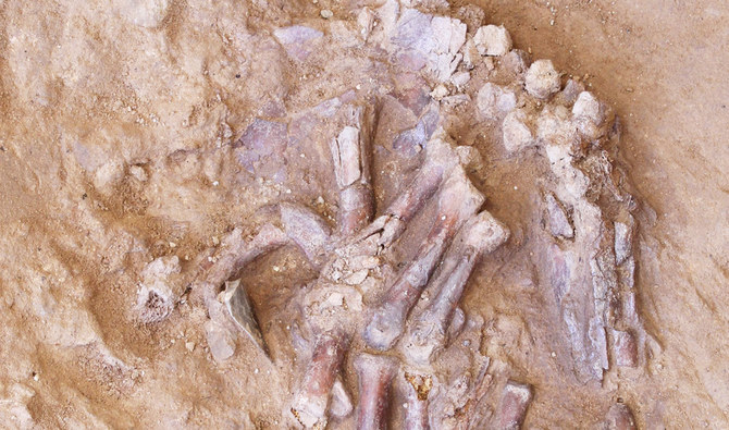 Did Neanderthals Bury Their Dead With Flowers? Iraq Cave Yields New ...