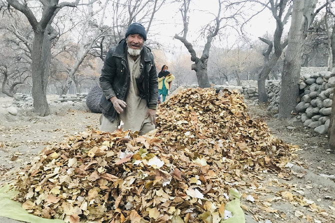 In Pakistan’s Khaplu valley, autumn foliage becomes ‘blessing’ fuel for winter survival