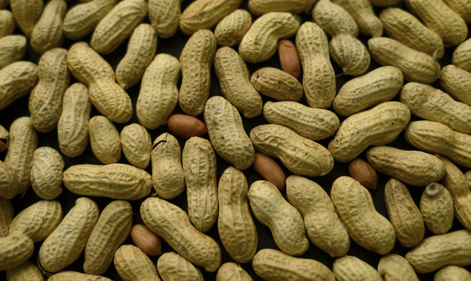 Adding peanuts to young children’s diet can help avoid allergy: study
