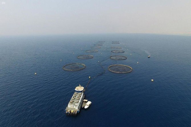 Saudi fisheries program CEO lays out $4bn investment plan