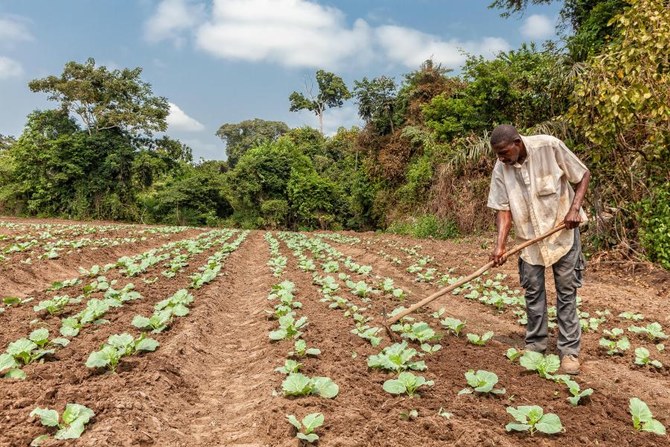 European financing fund for Africa launched with first closing of $24.1m 