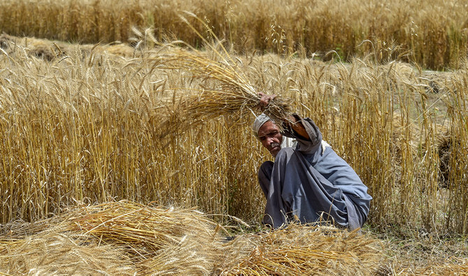 Italy To Invest €1.5mn For Olive Cultivation In Pakistan — envoy