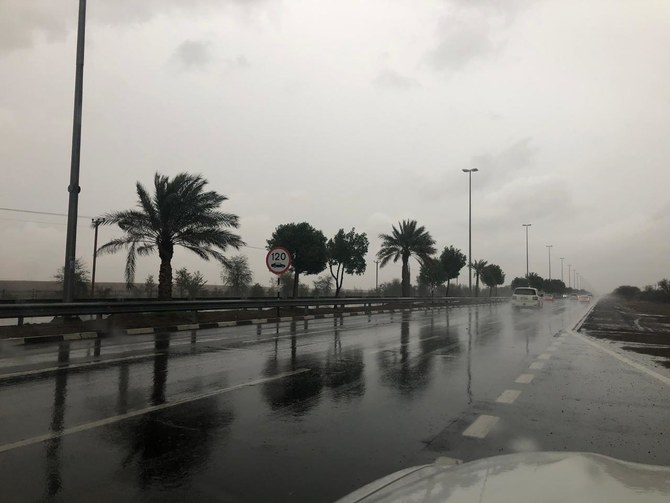 Seven people dead in flood-hit UAE 